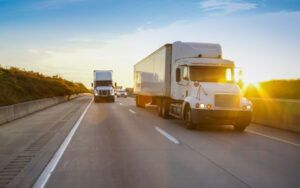 Local and Long Distance Relocation